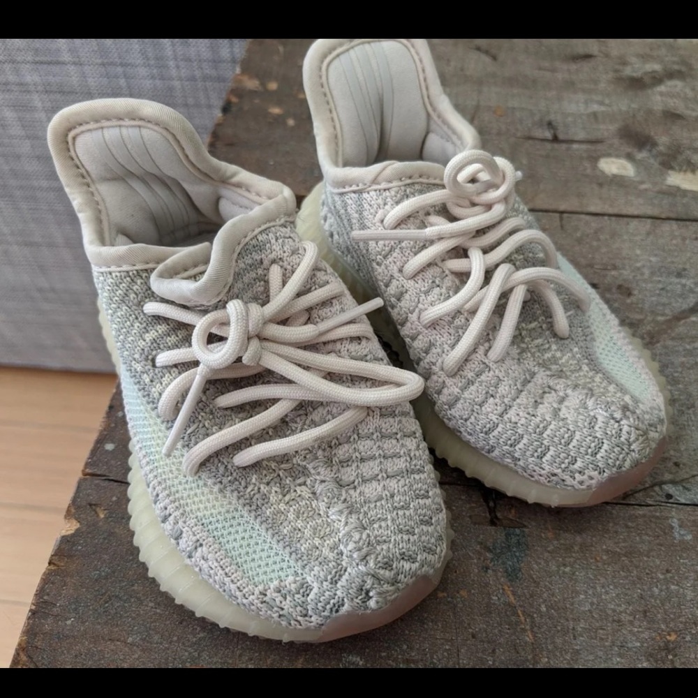 Yeezy boost 350